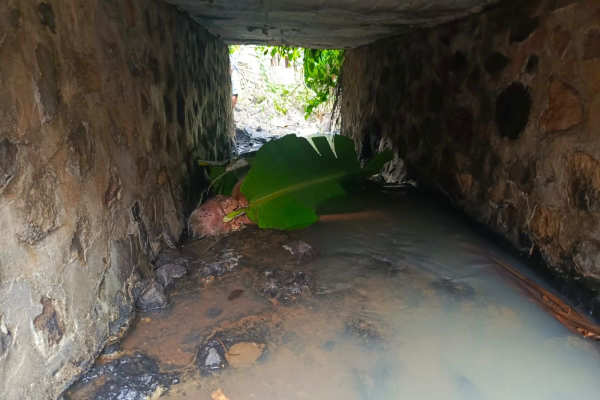 Geger!! Jasad perempuan ditemukan membusuk di kolong jembatan Lombok Timur