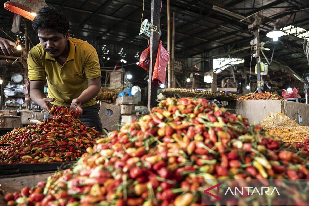 Harga pangan Minggu, cabai rawit Rp55.480/kg, bawang putih Rp42.610/kg