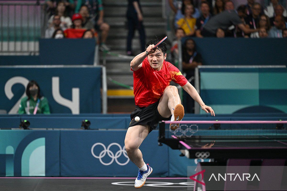 Fan Zhendong dan Chen Meng mundur dari tenis meja internasional