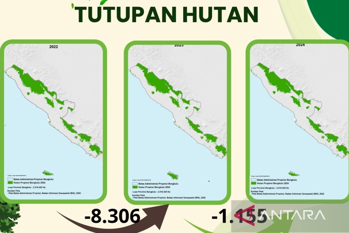 KKI Warsi: Bengkulu mampu tahan 86 persen laju kehilangan hutan