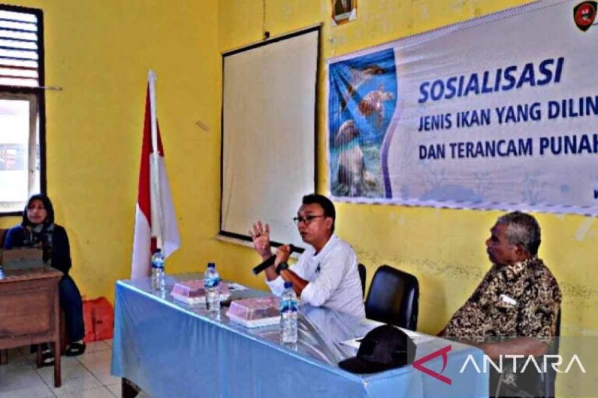 DKP Maluku tingkatkan kesadaran masyarakat jaga  spesies laut