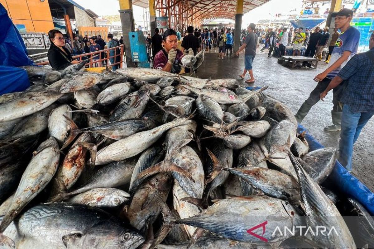 Harga pangan Senin, ikan tongkol Rp32.050/kg, daging ayam Rp38.120/kg