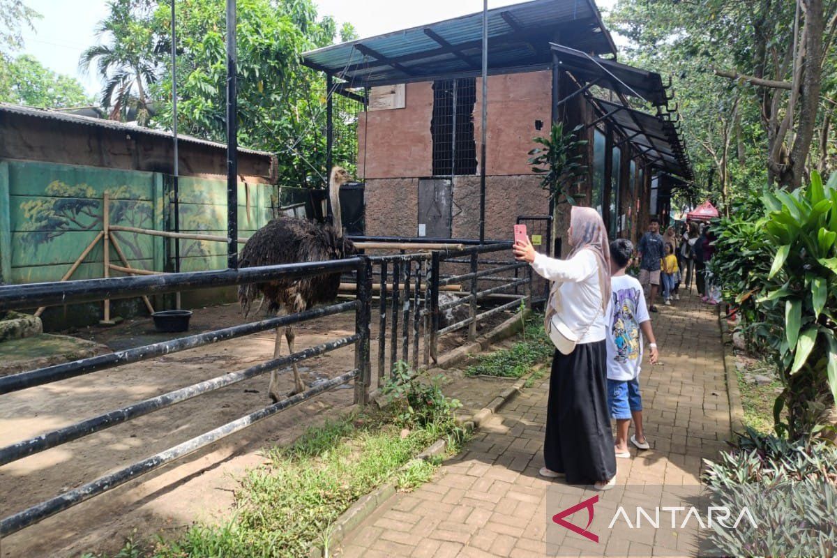 Yuk, berlibur ke Safari Beach Jawa Tengah