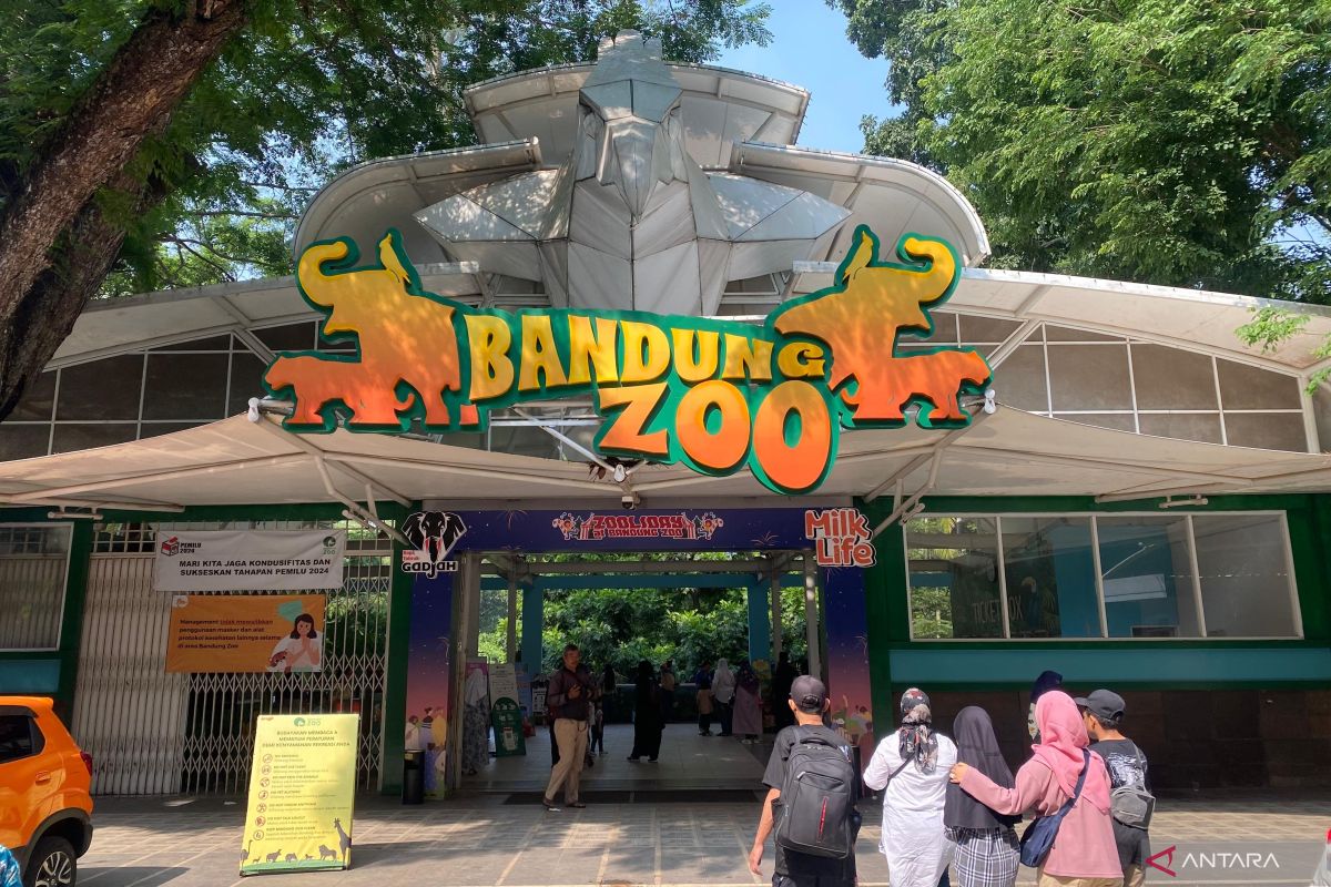 Satgas Pungli ringkus juru parkir Bandung Zoo patok tarif Rp150 Ribu