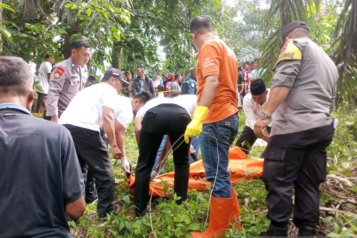 Polisi tangani penemuan mayat di kebun sawit Dharmasraya