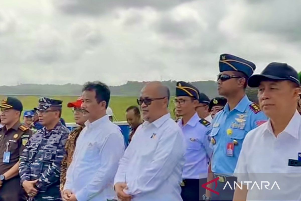 Kepala BP Batam resmikan Jalan Layang Laksamana Ladi