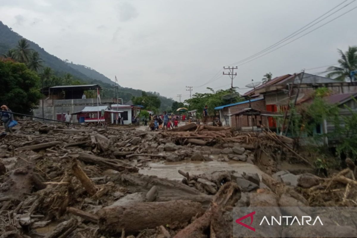 Kayu dan batu timbun jalan nasional di Aceh akibat banjir