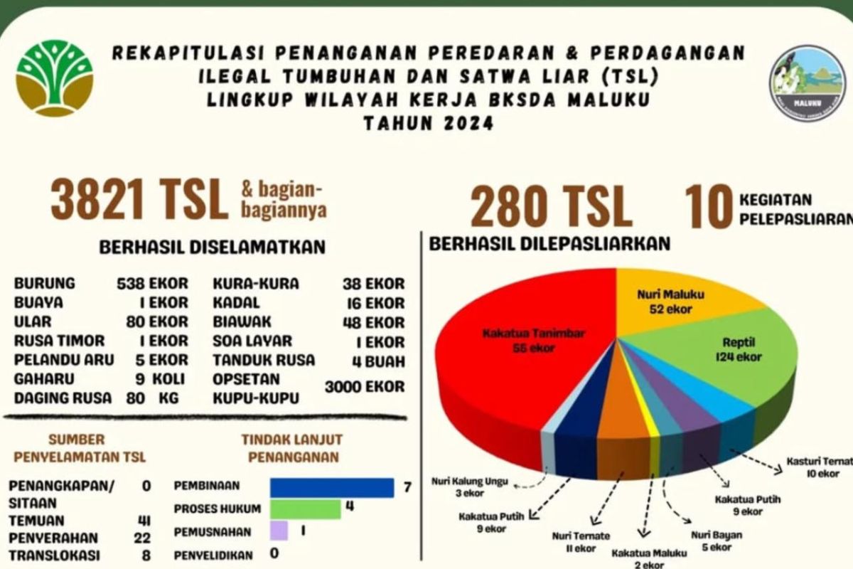 BKSDA Maluku berhasil amankan 3.821 satwa dilindungi sepanjang 2024 lewat berbagai operasi