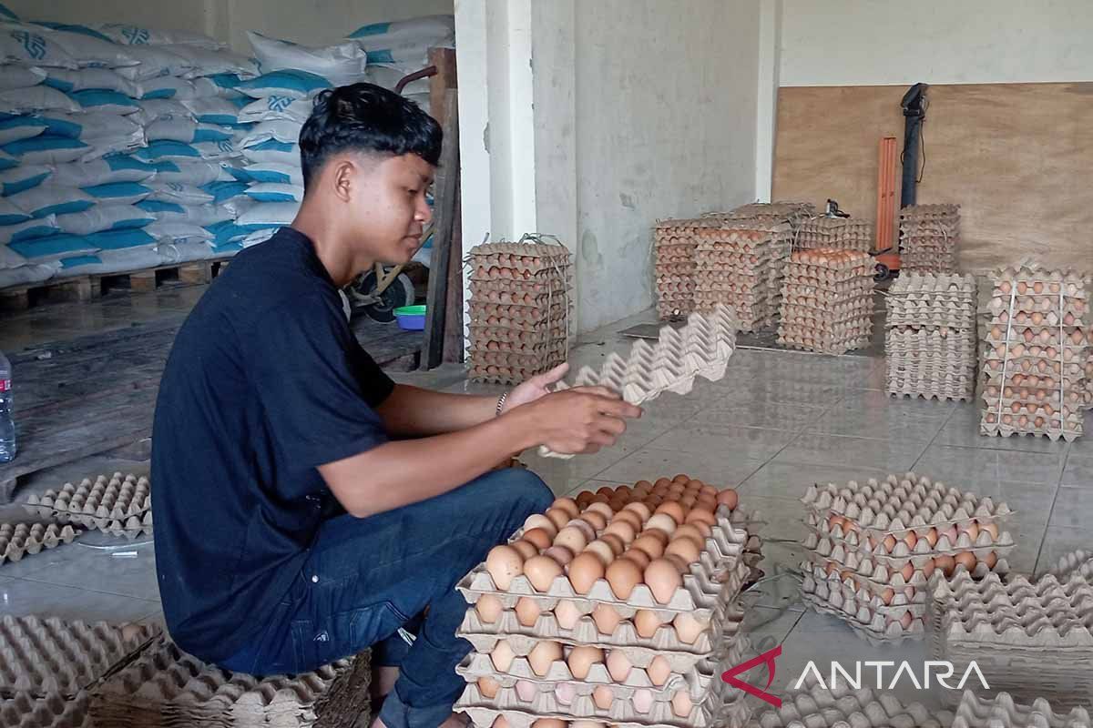 Persediaan telur di Banda Aceh mencukupi hingga awal 2025