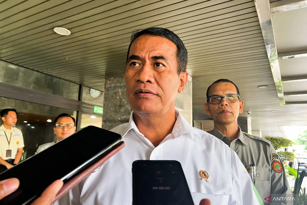 Land optimization, new fields key for rice sufficiency: govt