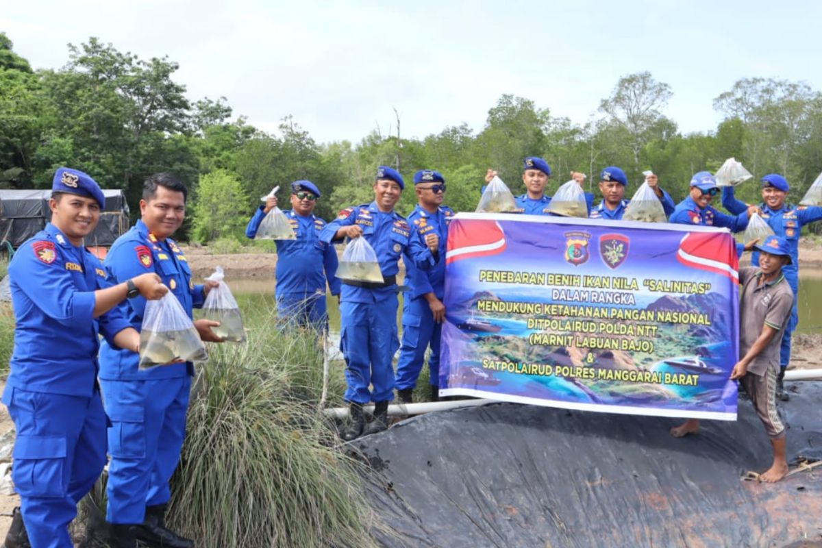Polres Mabar NTT tabur 1.500 bibit ikan nila dukung program Asta Cita