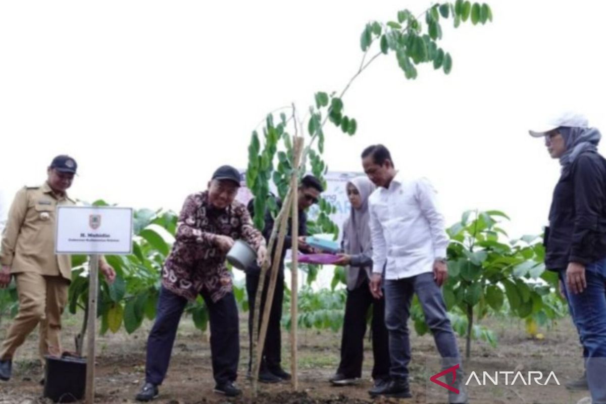 Menteri LH dan Gubernur Kalsel tanam pohon ciptakan hutan kota