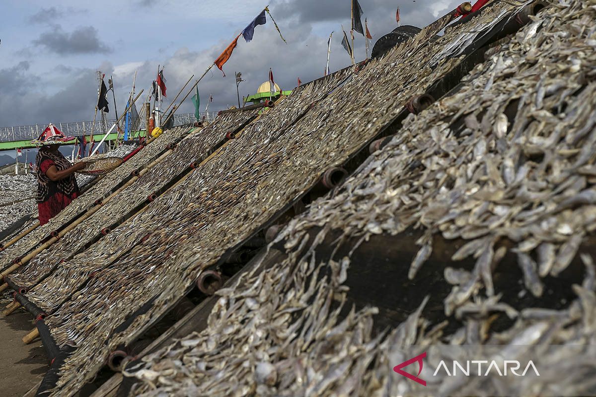 Komitmen pemerintah penuhi kebutuhan protein