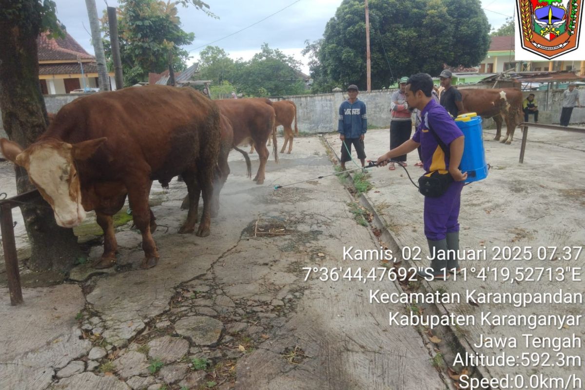 Karanganyar  imbau peternak batasi transaksi antardaerah antisipasi PMK