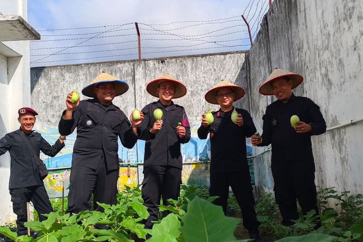 Warga binaan Lapas Martapura panen sayur-mayur di lahan SAE