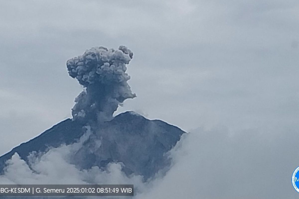 Gunung Semeru erupsi dengan tinggi letusan 500--1.200 meter