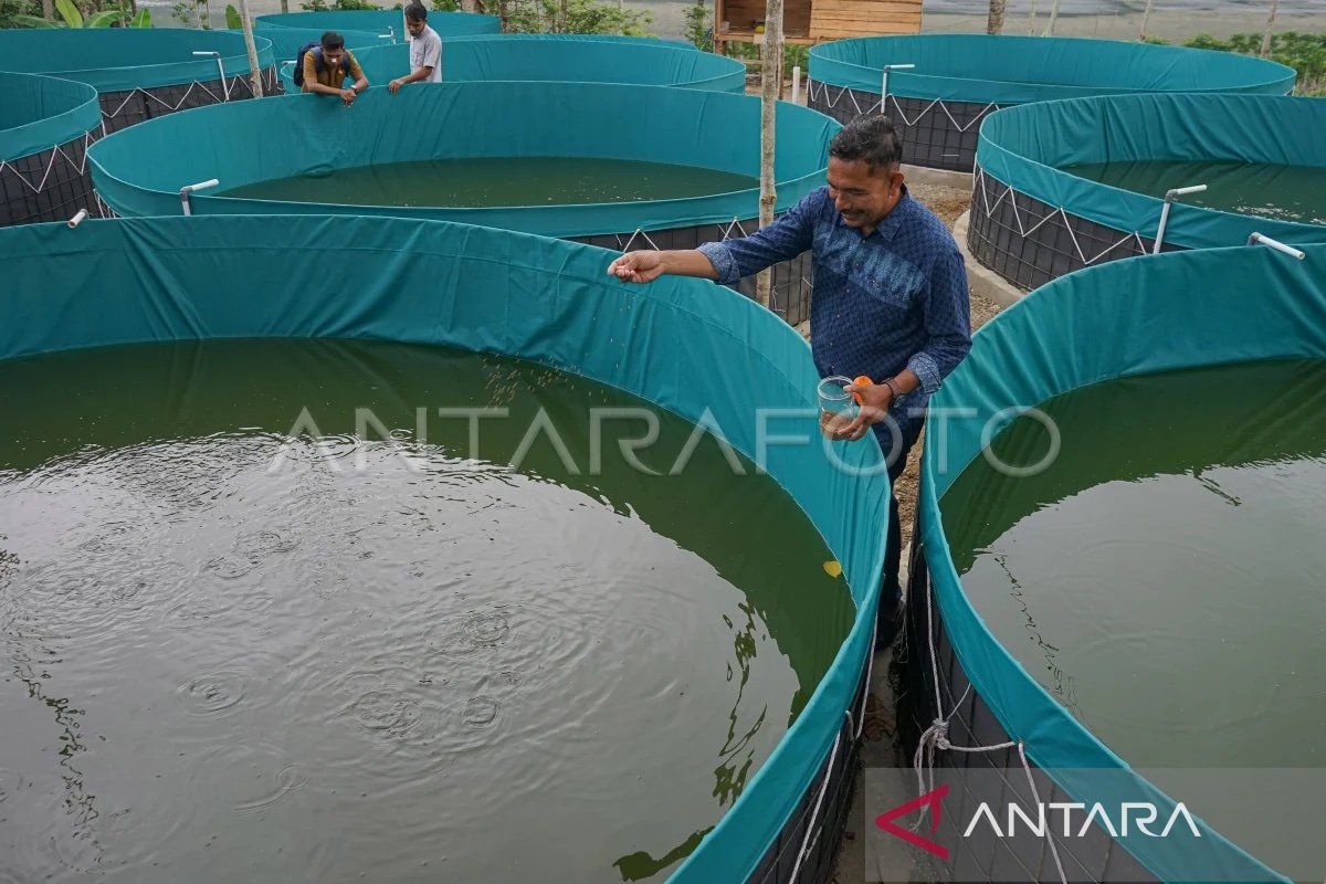 Aceh terima alokasi Rp4,73 triliun Dana Desa 2025 untuk 6.497 desa