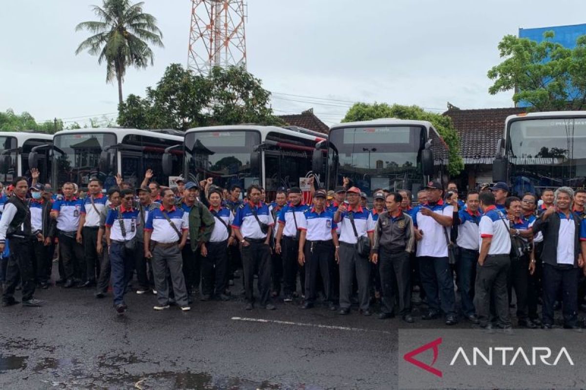 Ratusan sopir Trans Metro Dewata tunggu bus operasi kembali