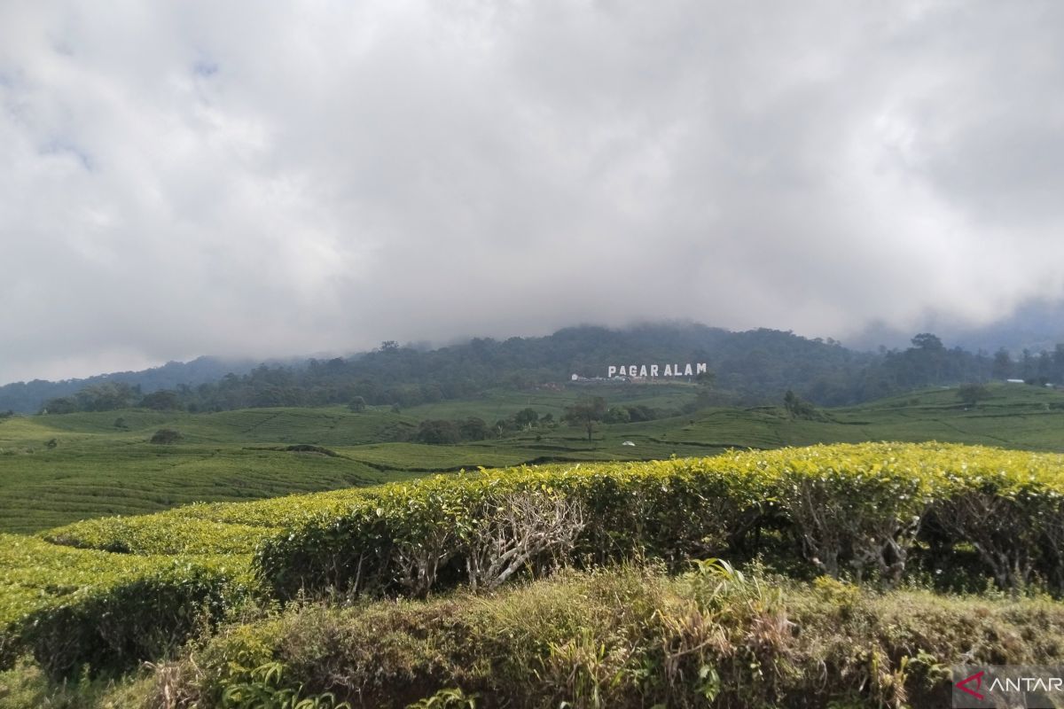 Brigade evakuasi seorang pendaki tewas di Gunung Dempo