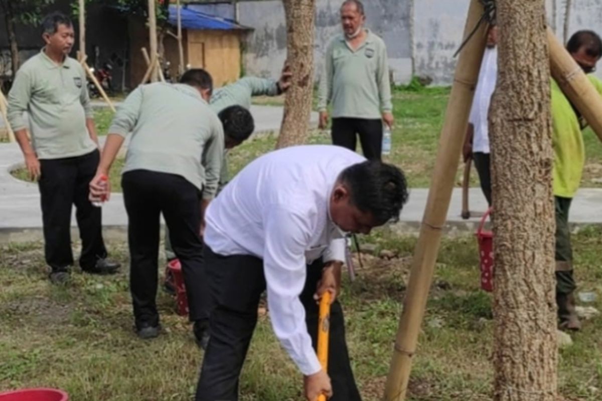 Pemkot Jakbar kembali tanam 100 pohon tabebuya di wilayah Cengkareng