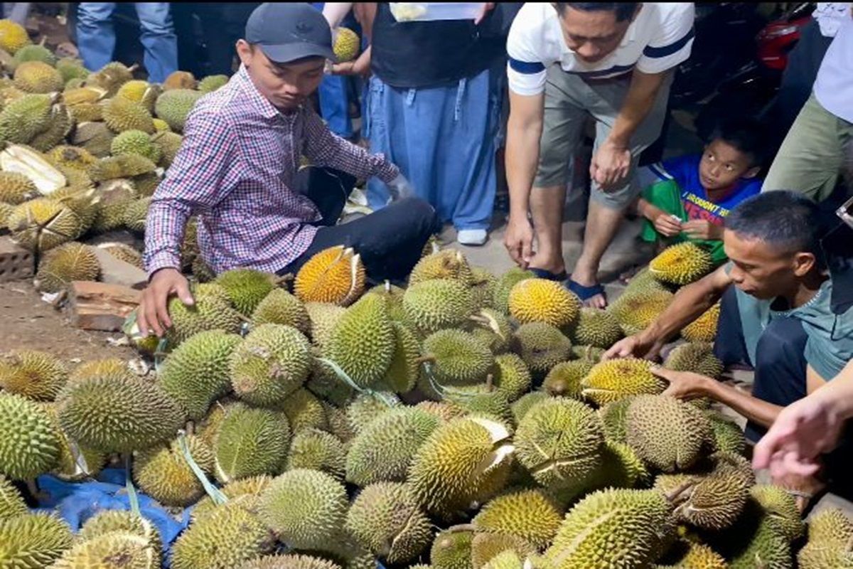 Wisata ke Palembang di awal 2025 auto pesta durian