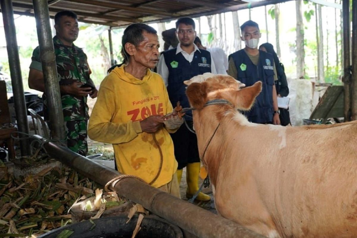 DKPP sebut kasus PMK ternak sapi di Kota Madiun minim