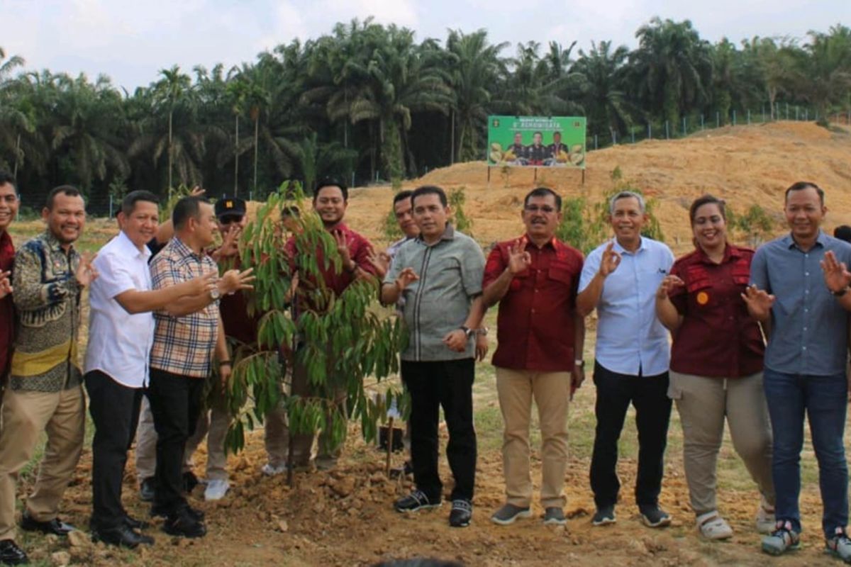 Lapas Rumbai berdayakan lahan dengan tanam musang king