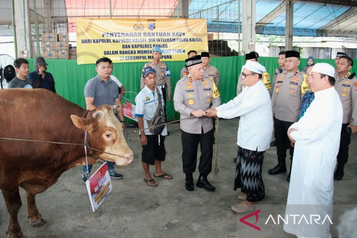 Kapolri sumbang empat sapi limosin untuk dukung Haul Guru Sekumpul di Kalsel