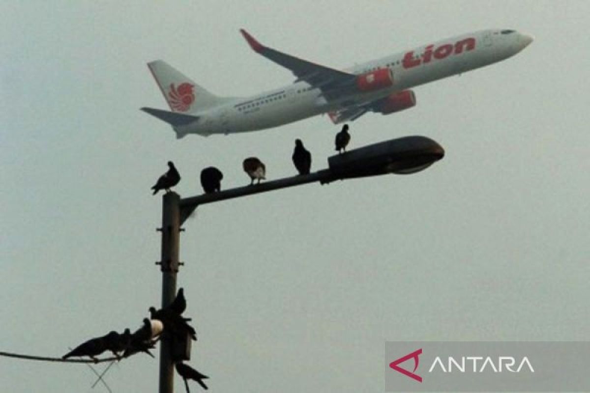 Penggiat konservasi paparkan strategi tekan risiko "bird strike"