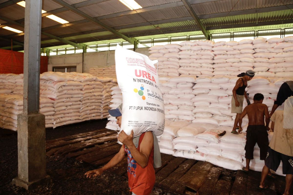 27.092 petani tebus pupuk bersubsidi per 3 Januari