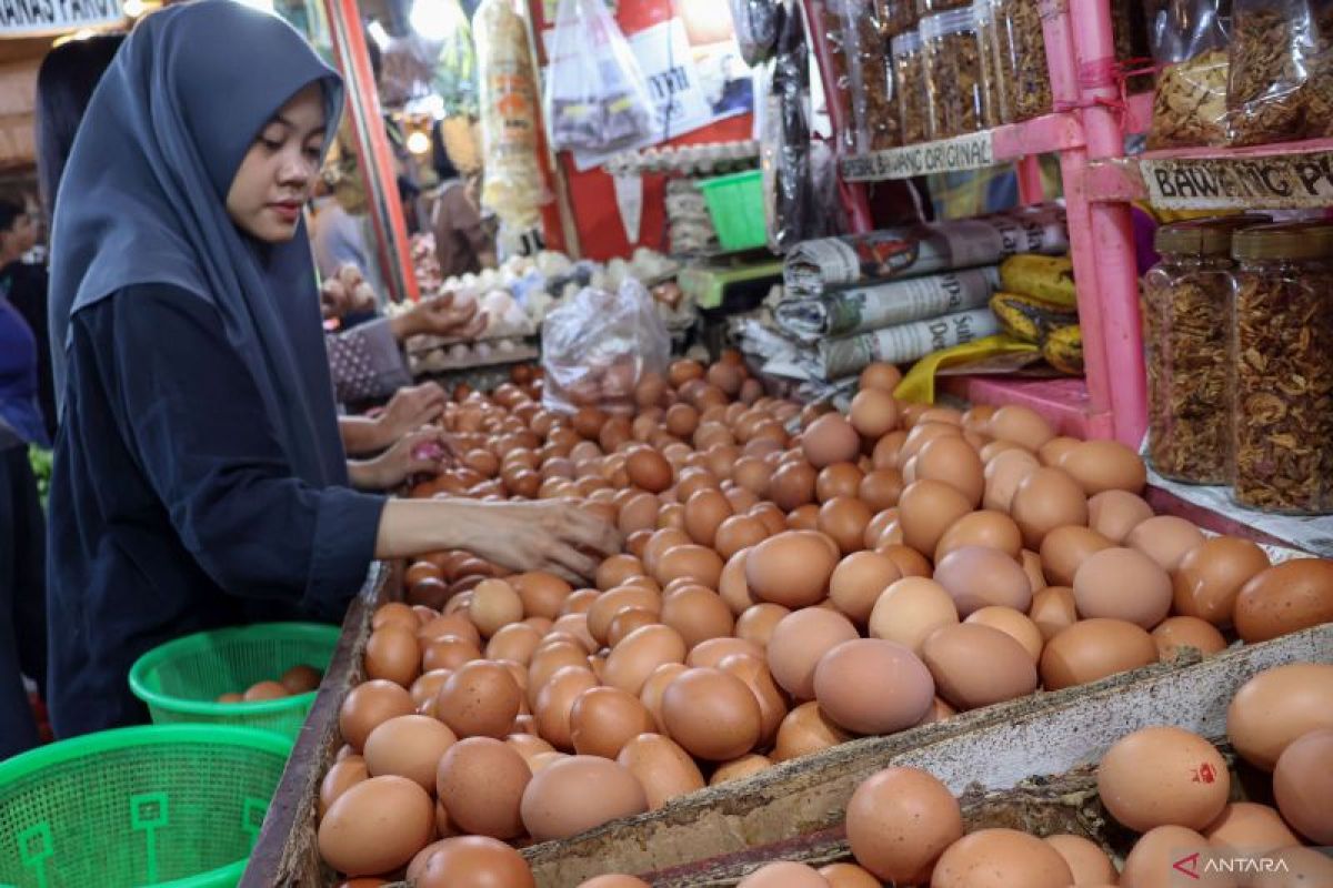 Indonesia bukukan rekor inflasi tahunan terendah pada Desember 2024