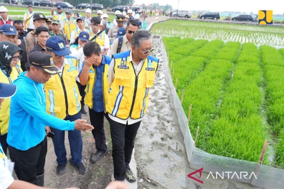 Menteri PU: Irigasi Padi Hemat Air akan diterapkan seluruh Indonesia