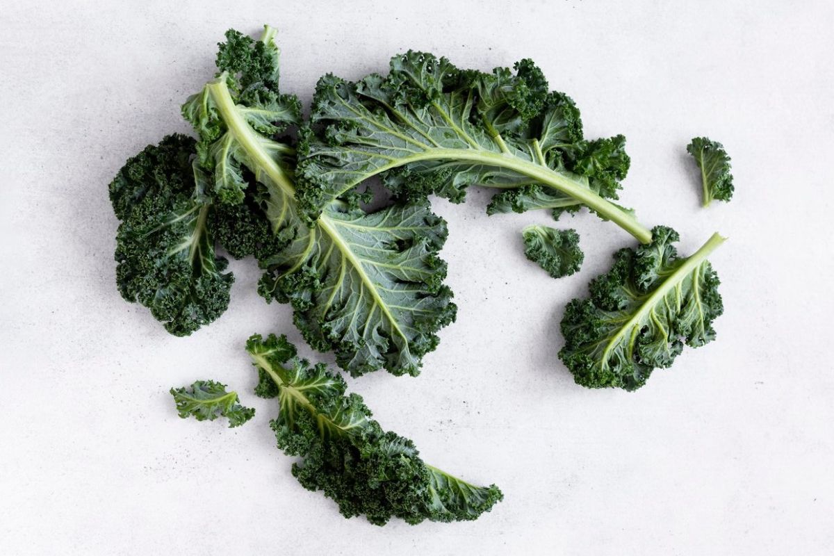 Khasiat daun kale untuk kesehatan, bisa turunkan risiko kanker