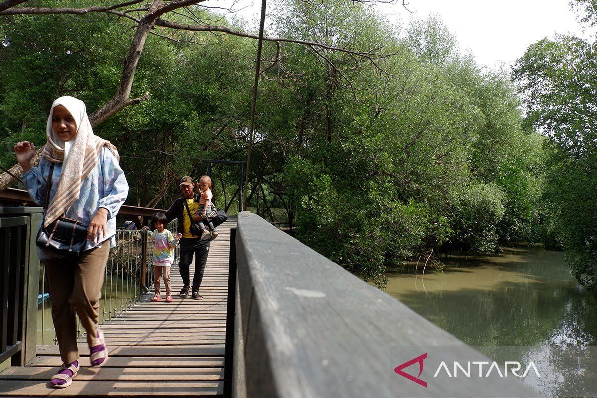 Kawasan pesisir utara Jakarta bakal jadi kawasan pariwisata dan ekonomi khusus