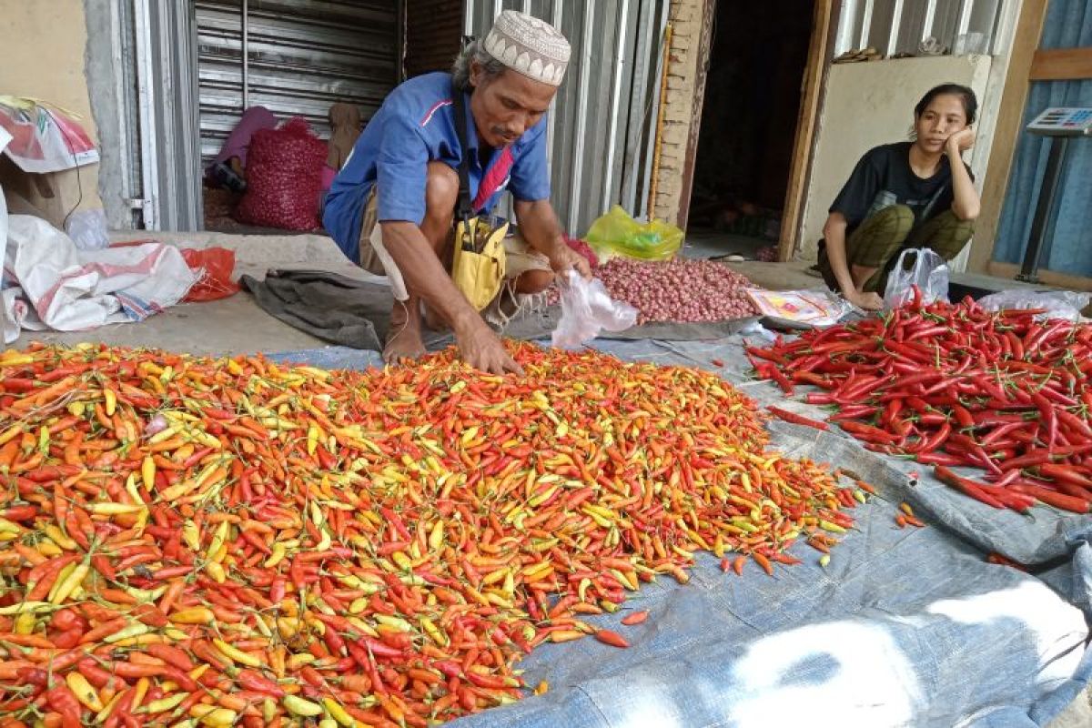 Harga cabai di Mataram capai Rp90.000 per kilogram