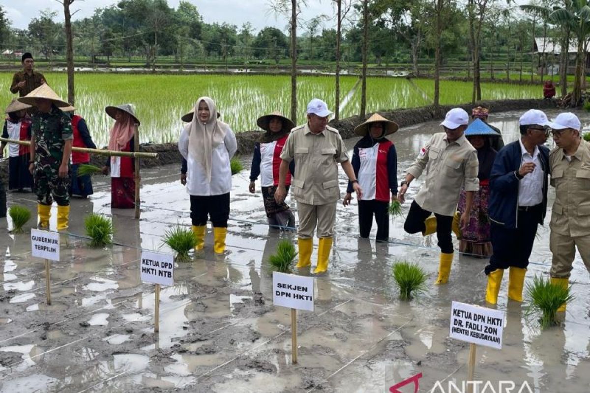 Bupati Bima hadiri tanam raya padi bersama Wamen Pertanian di Lombok Tengah