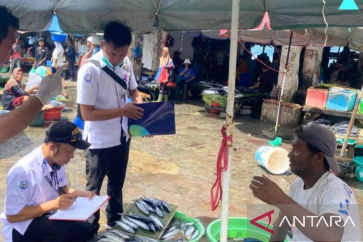 BPPMHKP gencarkan pengawasan mutu ikan di Ambon