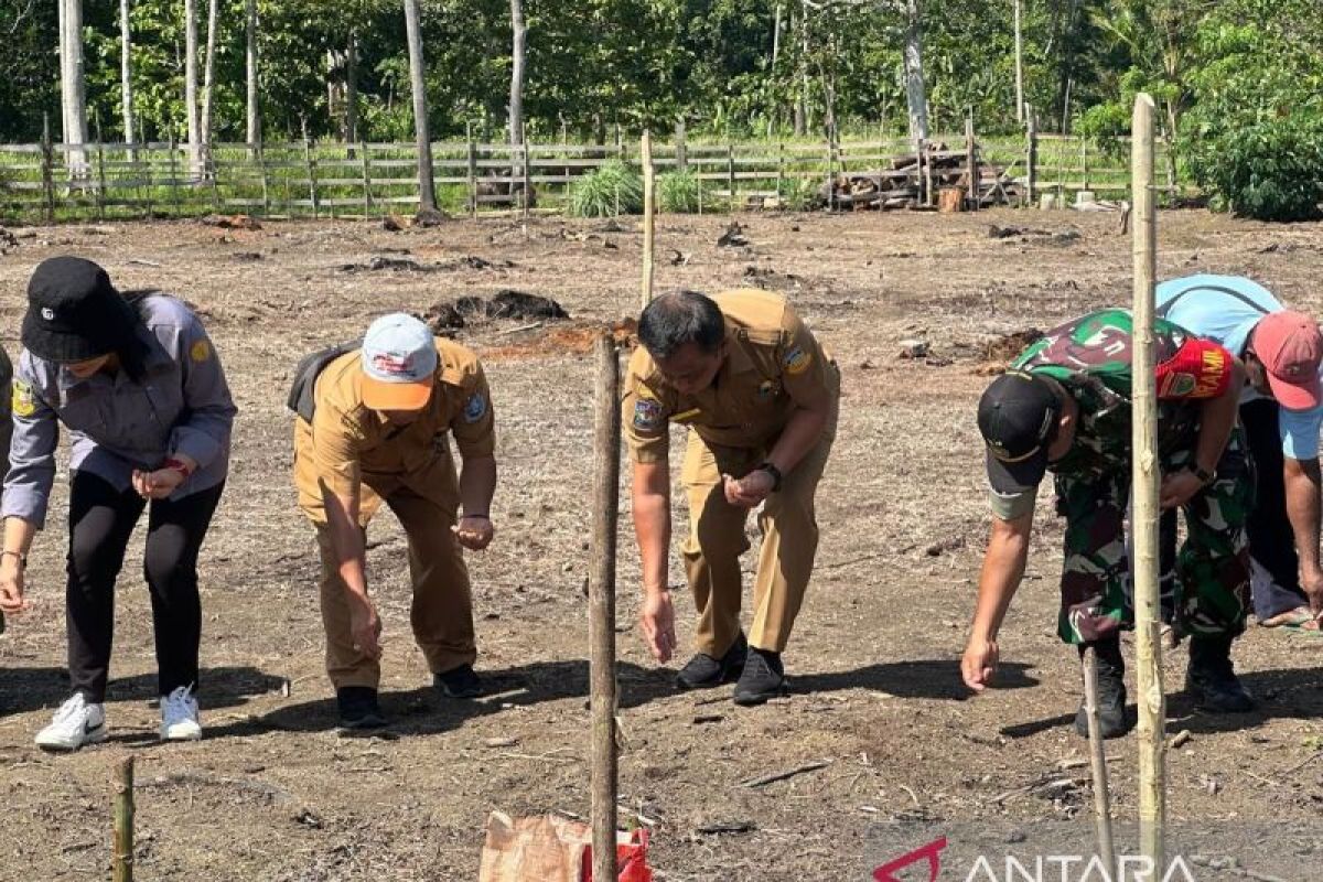 Pemkab dorong warga Jayapura kembangkan tanaman hortikultura