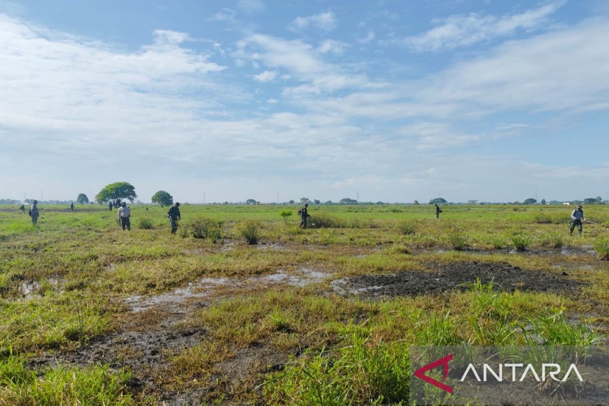 Korem 051/Wijayakarta garap lahan tidak produktif di Bekasi jadi sawah