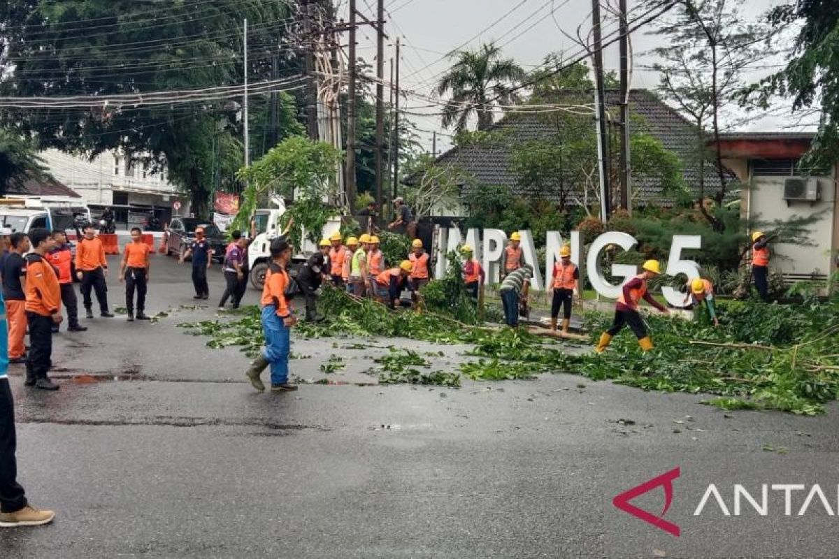 Pemkot Pangkalpinang bersama stakeholder terkait lakukan penebangan pohon