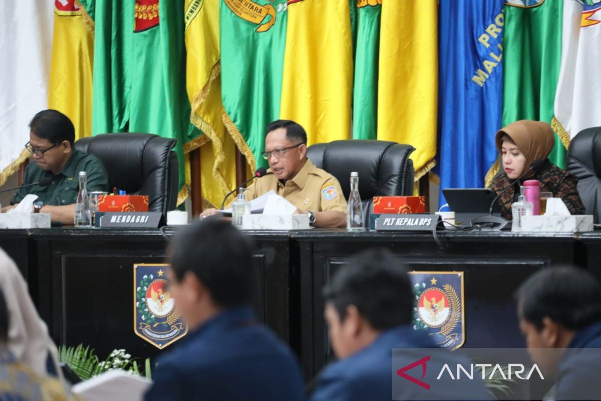 Mendagri minta pemda dorong masyarakat kembangkan variasi bahan pangan