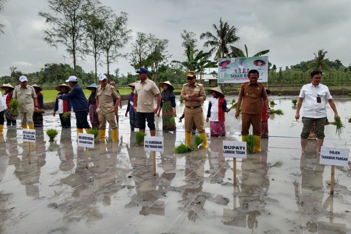 Kementan perkuat peningkatan produktivitas pertanian di Lombok Tengah-NTB