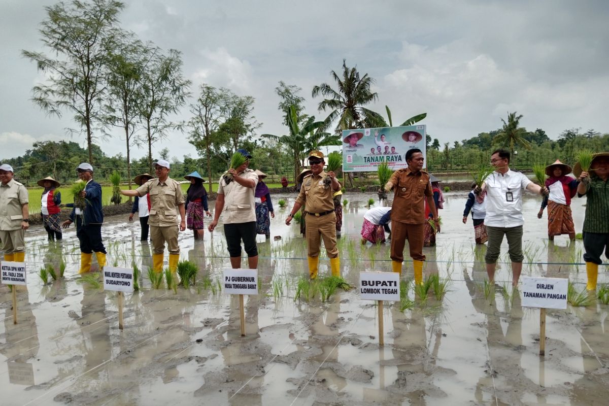 Ketua HKTI: Kenaikan HPP padi dan jagung 2025 untuk keuntungan petani