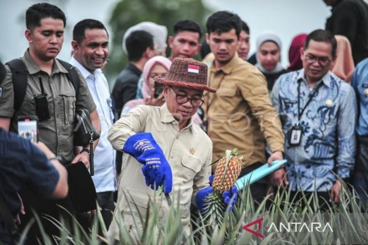 Menteri Desa kunker ke Agrowisata Nanas Tangkit Baru di Muarojambi