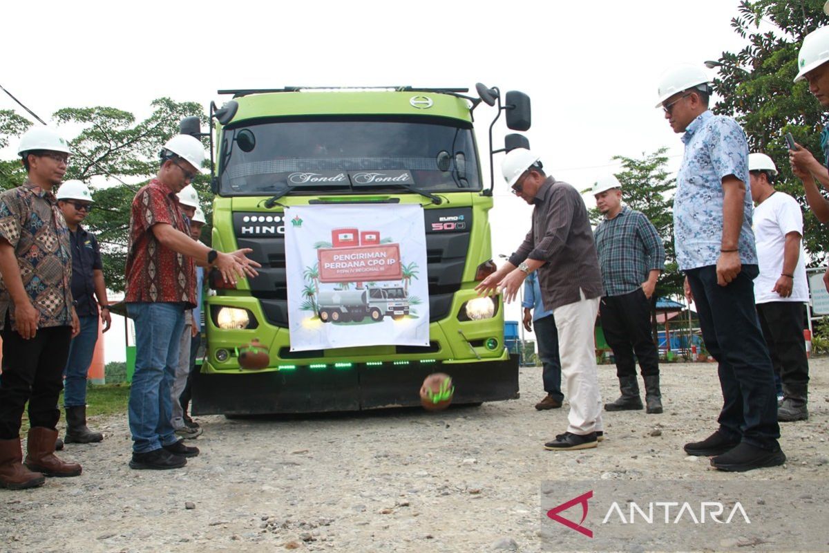 Target pasarkan 120.000 MT CPO bersertifikasi internasional, PTPN IV PalmCo proyeksi raup tambahan