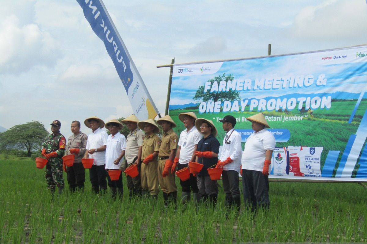 Dukung swasembada, Pupuk Indonesia siapkan 9,55 juta ton pupuk subsidi