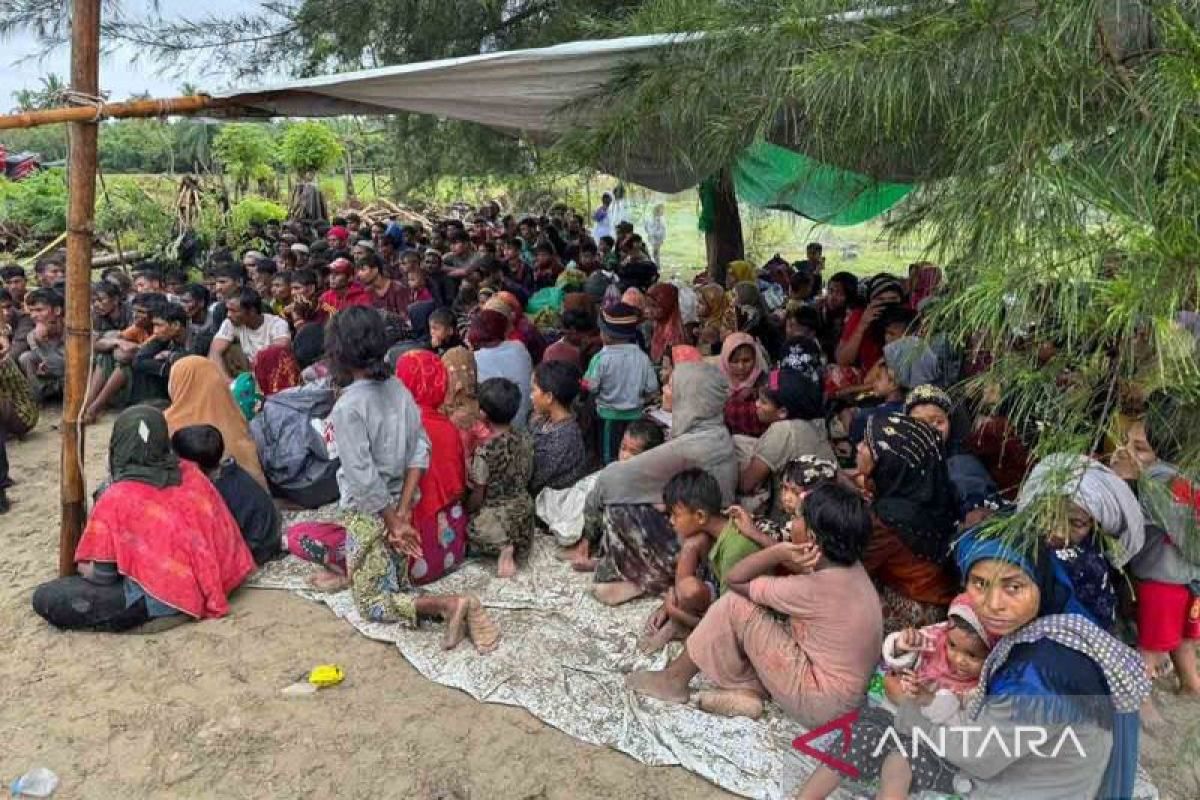 264 imigran Rohingya di Aceh Timur direlokasi ke penampungan