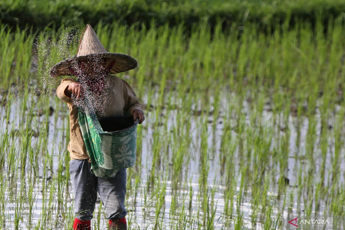 Asosiasi Petani siap wujudkan percepatan swasembada pangan