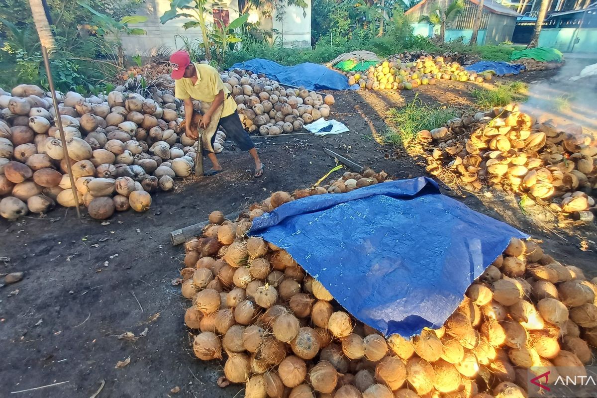 Pertanian di Kepri berkembang signifikan