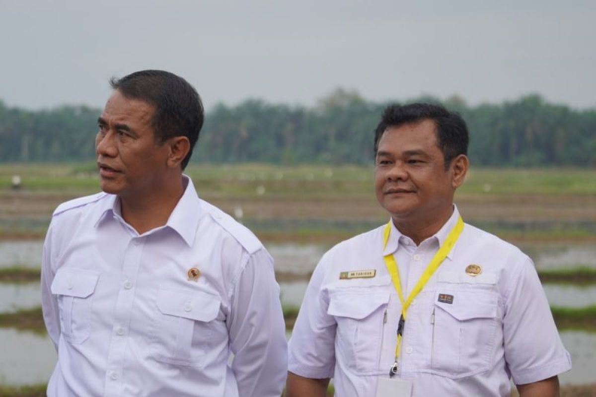 Dinas Ketapang dan Pertanian Langkat beri tanggapan dugaan penyimpangan anggaran